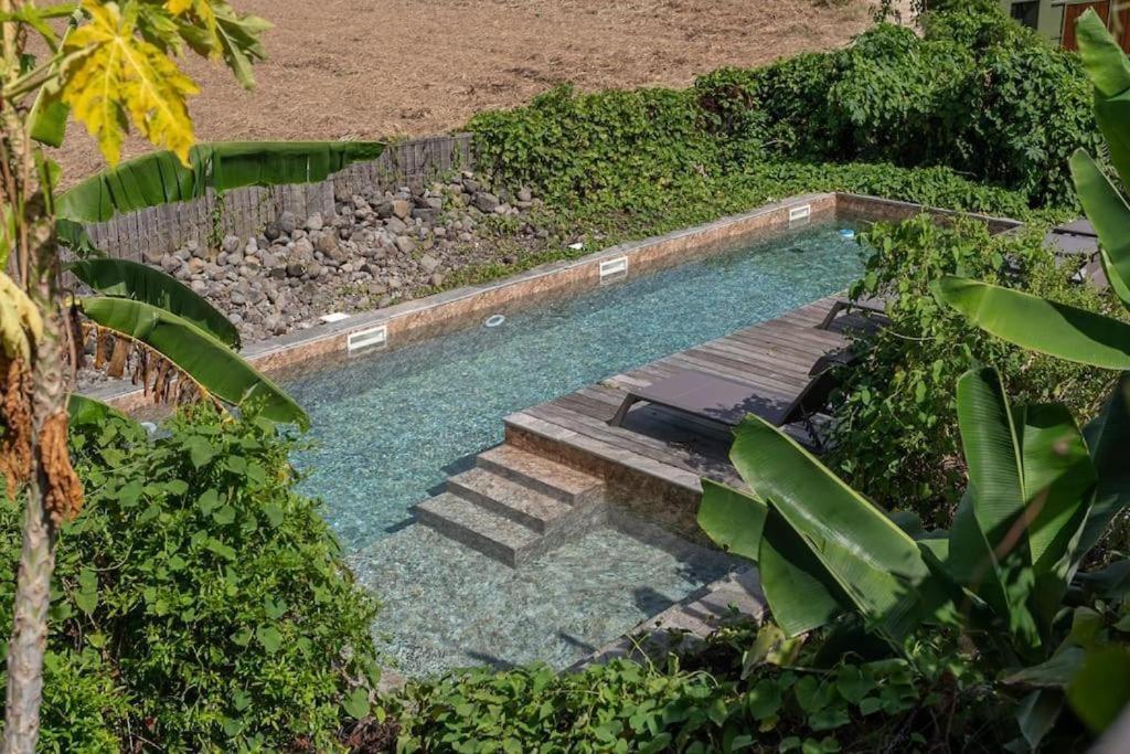 La mer de canne SECRET NATURE 1 Petit-Canal Extérieur photo